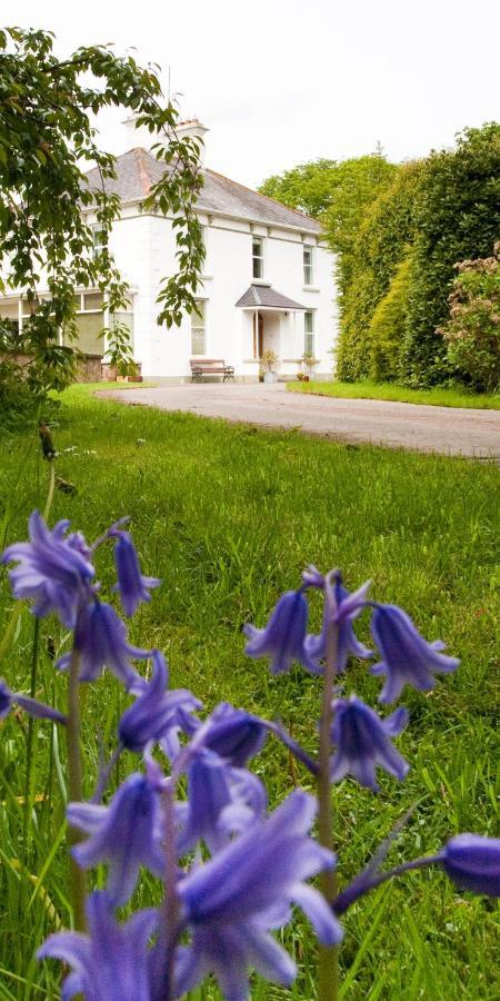 Ballyhenry House And Apartments リマバディ エクステリア 写真